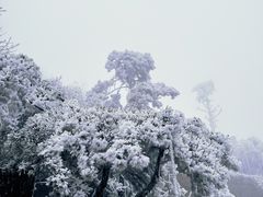-娄山关景区