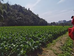 -贵阳市花溪国家城市湿地公园