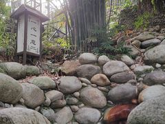 -三江森林温泉度假区