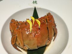 -米桃-吴韵风雅·拙园(北外滩来福士店)