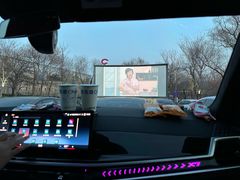 -枫花园汽车电影院(朝阳公园店)