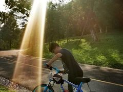 -松山湖梦幻百花洲
