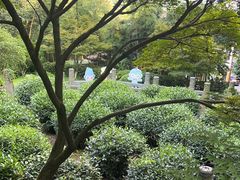 -十八棵（老龙井）御茶园(老龙井店)