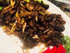 -百味地锅鸡(二店·财校分店)