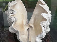 -中国湿地博物馆