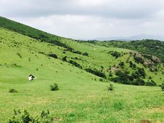 -大姆山草场