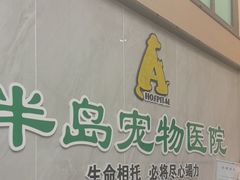 -半岛宠物医院24小时(科华中路店)
