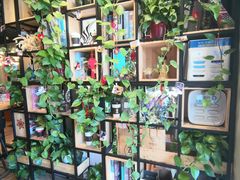 -ZING COFFEE 镜咖啡