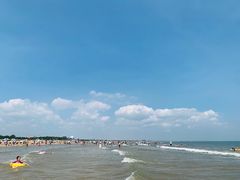 -日照海滨国家森林公园
