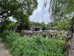 -无锡蠡湖国家湿地公园-蠡园