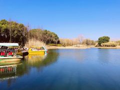 -贡湖湾湿地公园