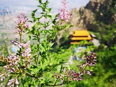 -鸡鸣山旅游风景区