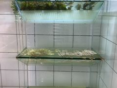 -百味源炭火烤翅 ·夜市大排档(酒仙桥店)
