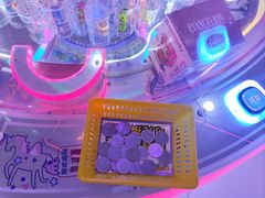 -探险阳光乐园(东区利和店)