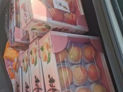 -南汇新场正宗水蜜桃采摘