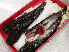 -钢管厂五区小郡肝串串香(蜀都万达店)