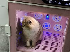 -贝康宠物医院·犬猫全科·小动物特色诊疗中心(东环路店)