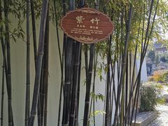 -南京市民俗博物馆(甘熙故居)