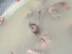 -古膳记猪肚鸡.生蚝鸡(拱北店)