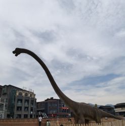 -恐龙探索乐园(磁器口店)