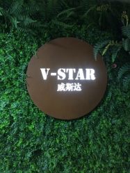 -V-STAR威斯达•高级私人定制