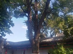 -内蒙古将军衙署博物院