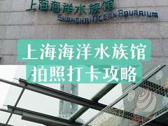 -上海海洋水族馆