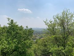 -上海佘山国家森林公园西佘山园