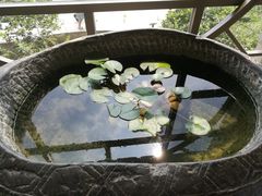 -同里湖大饭店-怡景轩中餐厅(同里古镇店)