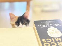 -纳吉亚猫专科动物医院博雅分院