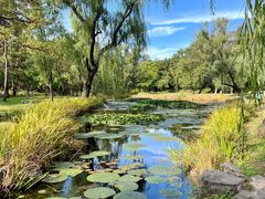 -承德避暑山庄景区
