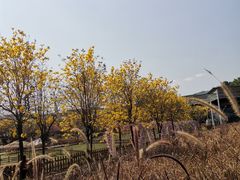 -盈香心动乐园