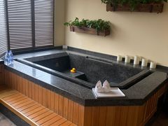 -春晖园度假酒店温泉