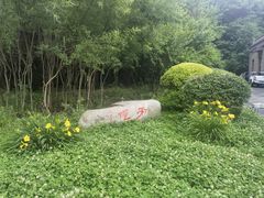 -凤凰山国家森林公园
