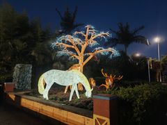 -上海玛雅海滩水公园