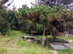 -观唐（国际）度假村温泉