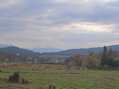 -塔川景区