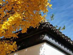 -召稼楼古镇