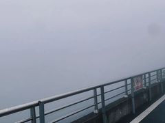 -江南天池