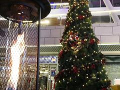 -Paulaner·德国帕拉娜自酿啤酒餐厅(海上世界店)