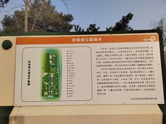 -玲珑塔公园