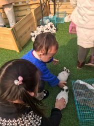 -萌宠亲子动物乐园(槐房万达店)