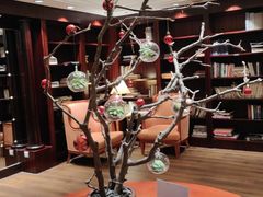 -上海明天广场JW万豪酒店