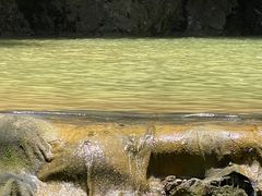 -南海湾森林生态园