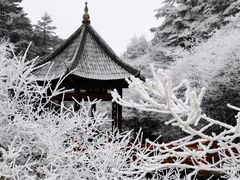 -水晶广场