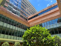 -香港大学