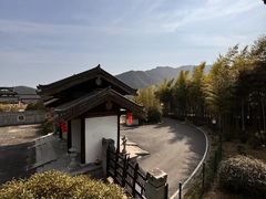-大唐贡茶院