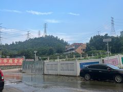 -华庭食府(光明店)