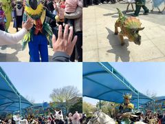 -海合安武汉极地海洋公园
