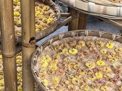 -东台西溪天仙缘景区
